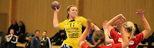 Sävsjö Handboll